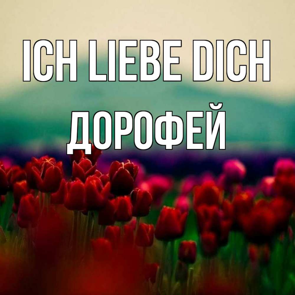 Открытка на каждый день с именем, Дорофей Ich liebe dich тюльпаны 4 Прикольная открытка с пожеланием онлайн скачать бесплатно 