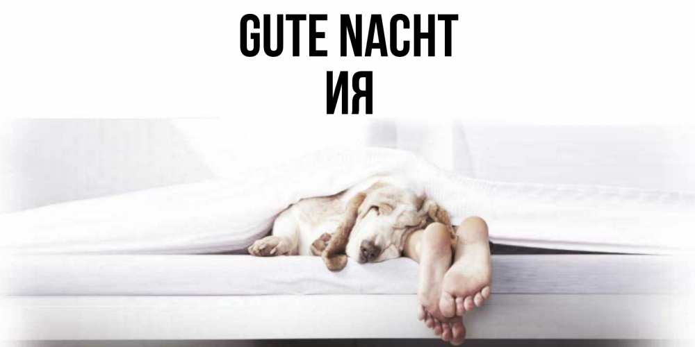 Открытка на каждый день с именем, Ия Gute Nacht кровать с собакой пожелание сладких снов и спокойной ночи Прикольная открытка с пожеланием онлайн скачать бесплатно 