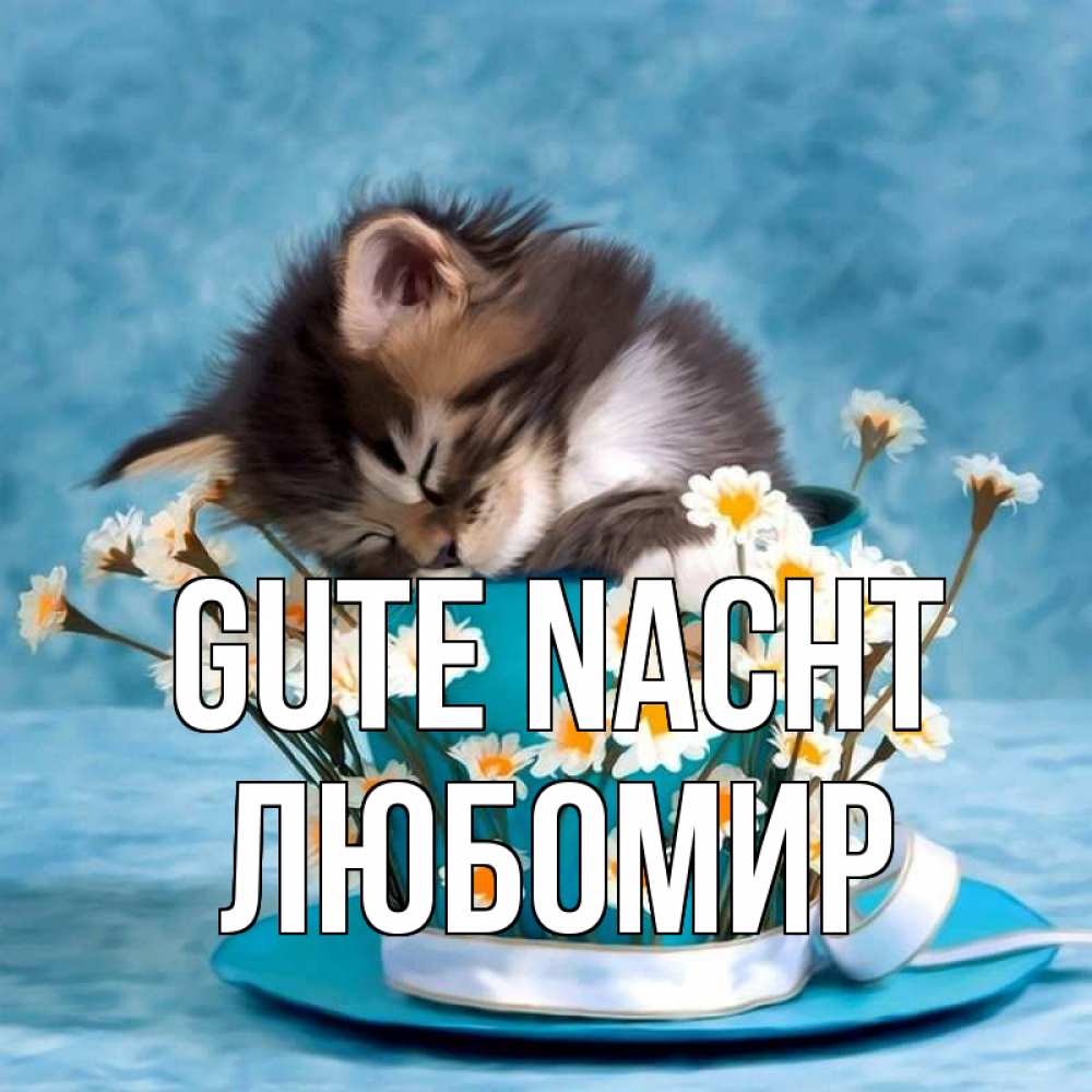 Открытка на каждый день с именем, Любомир Gute Nacht котенок спит в кружке с блюдцем Прикольная открытка с пожеланием онлайн скачать бесплатно 