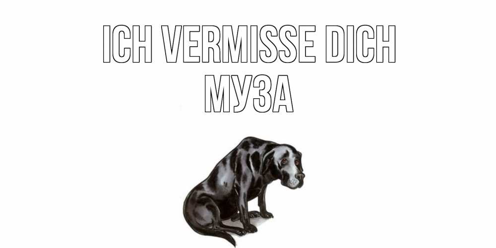 Открытка на каждый день с именем, Муза Ich vermisse dich я по тебе скучаю открытка с собакой Прикольная открытка с пожеланием онлайн скачать бесплатно 