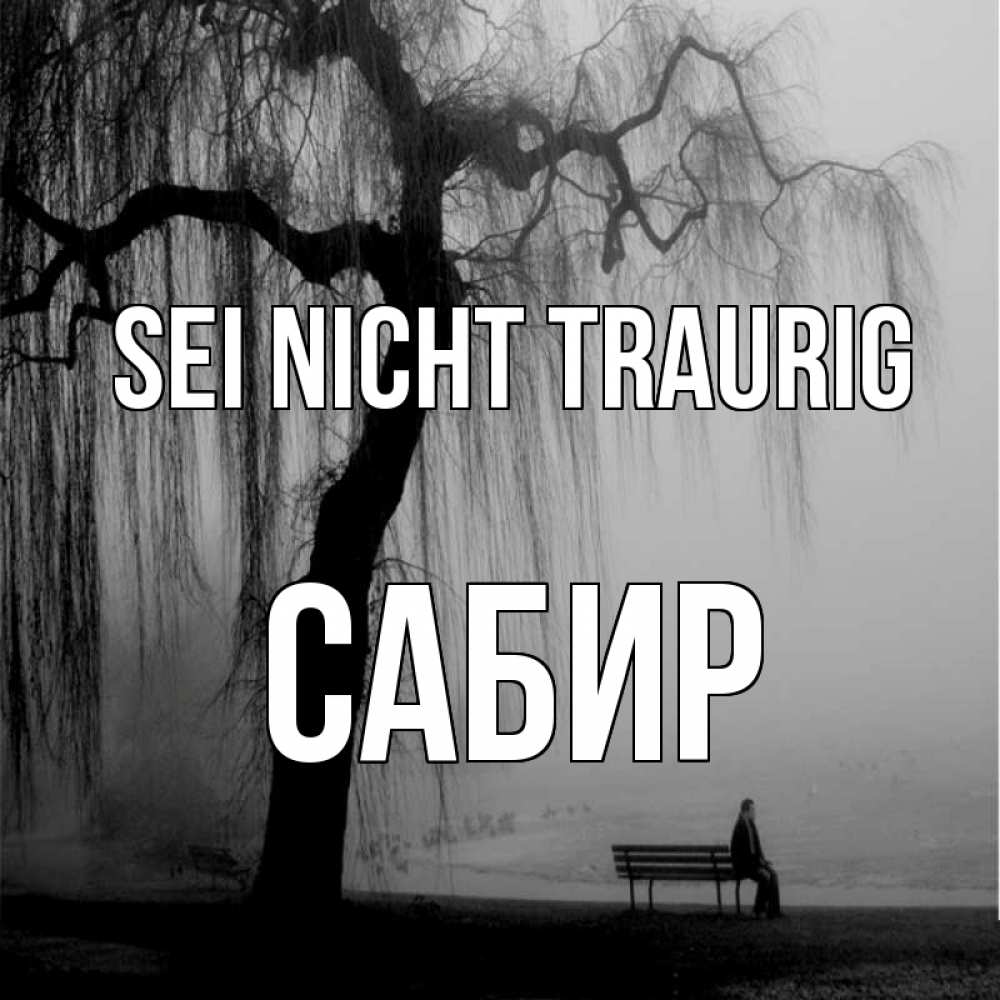 Открытка на каждый день с именем, Сабир Sei nicht traurig висящие ветки дерева и лавочка под деревом Прикольная открытка с пожеланием онлайн скачать бесплатно 
