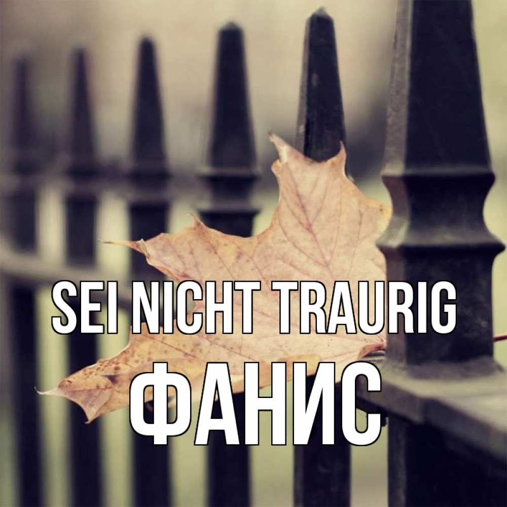 Открытка на каждый день с именем, Фанис Sei nicht traurig лист клена Прикольная открытка с пожеланием онлайн скачать бесплатно 