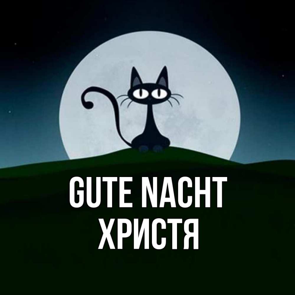 Открытка на каждый день с именем, Христя Gute Nacht хорошо выспаться ночью и без кошмаров Прикольная открытка с пожеланием онлайн скачать бесплатно 