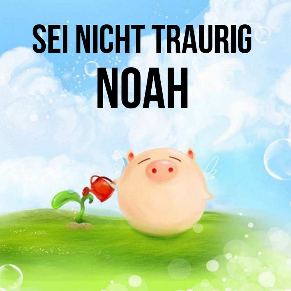Открытка на каждый день с именем, Noah Sei nicht traurig поливает цветок порося Прикольная открытка с пожеланием онлайн скачать бесплатно 