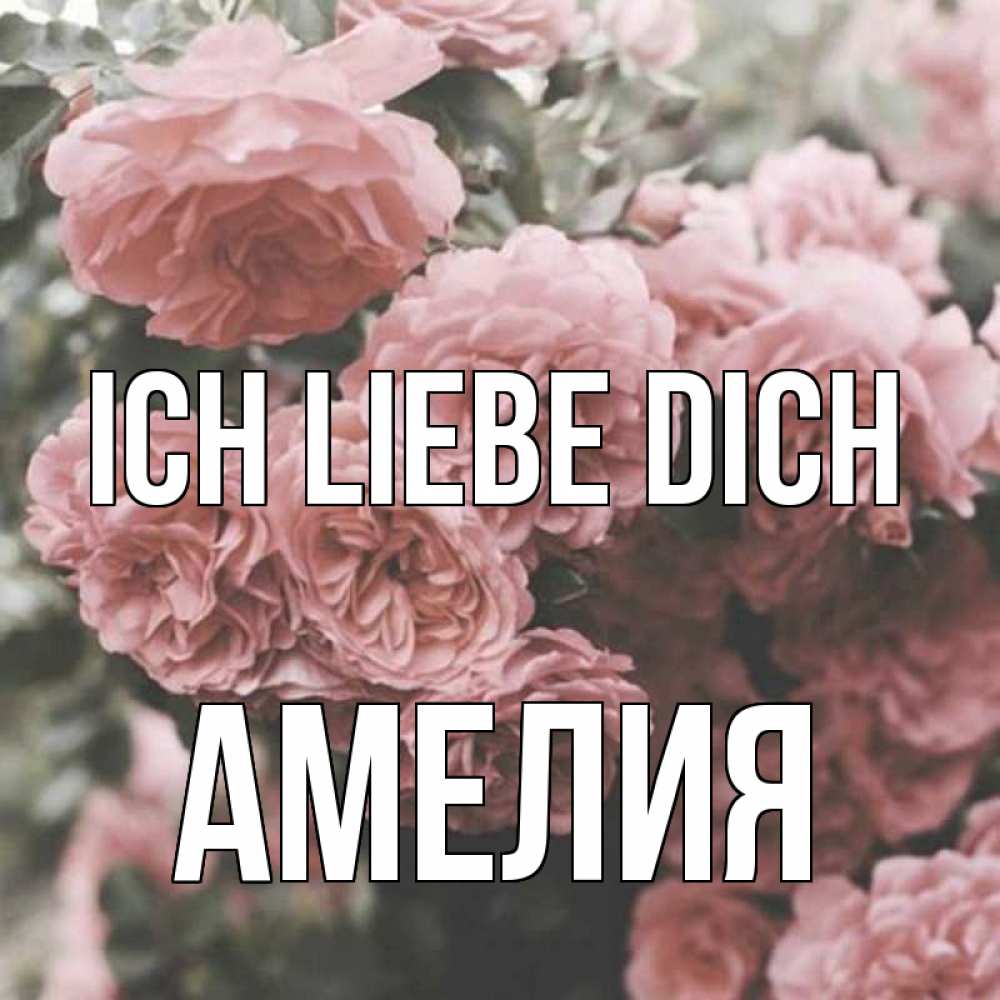Открытка на каждый день с именем, Амелия Ich liebe dich розы 3 Прикольная открытка с пожеланием онлайн скачать бесплатно 
