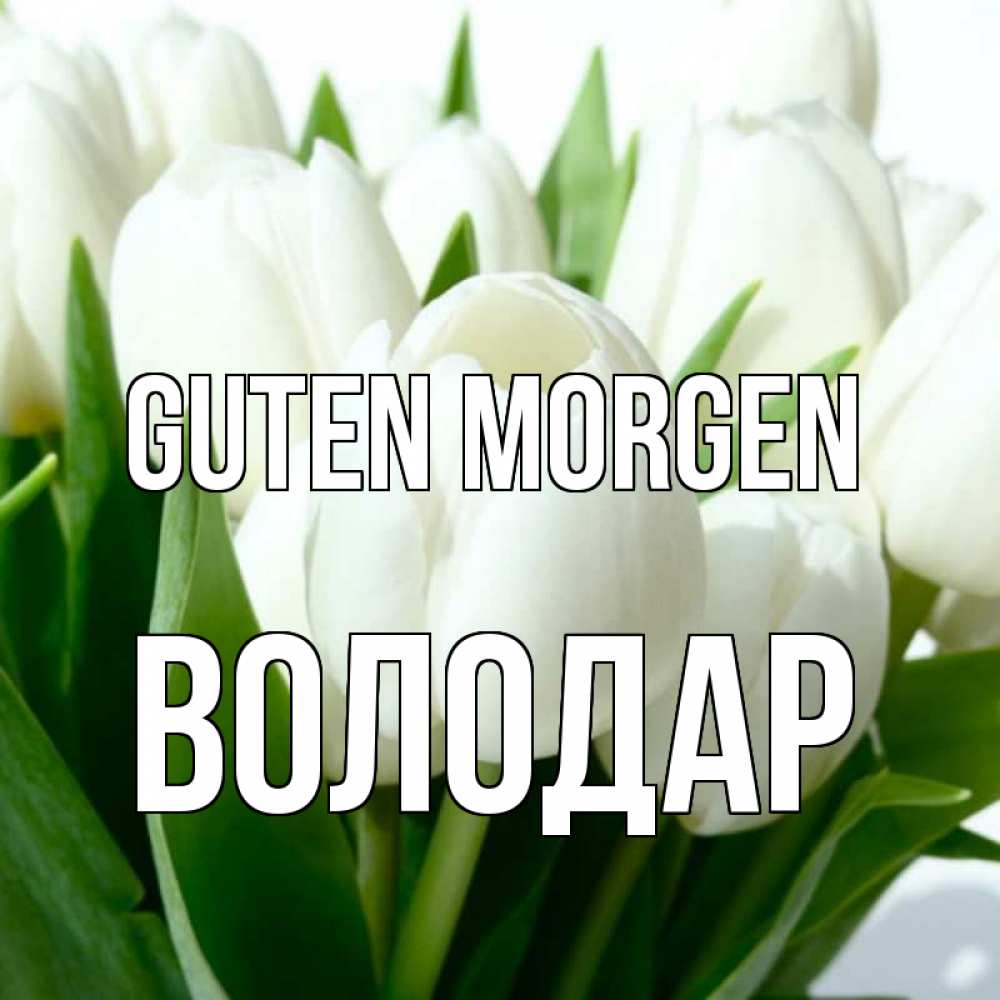 Открытка на каждый день с именем, Володар Guten Morgen открытки на каждый день по именам Прикольная открытка с пожеланием онлайн скачать бесплатно 