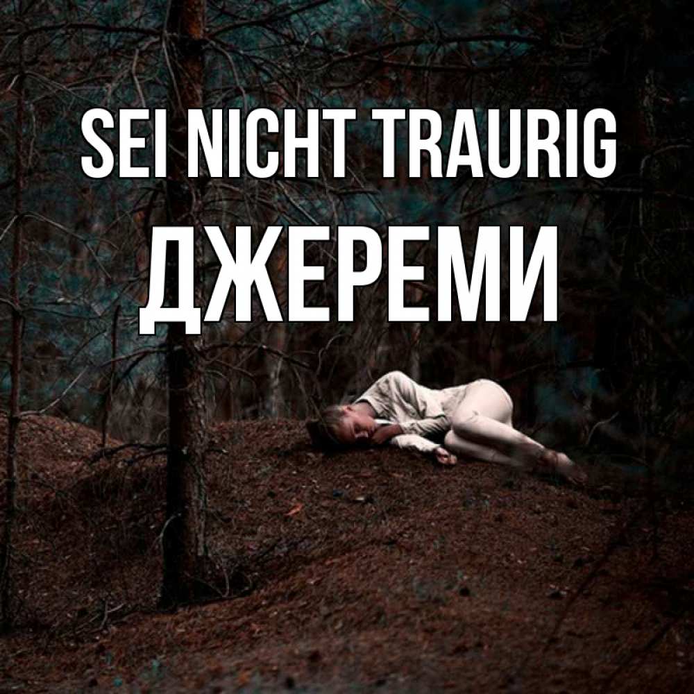 Открытка на каждый день с именем, Джереми Sei nicht traurig лес Прикольная открытка с пожеланием онлайн скачать бесплатно 