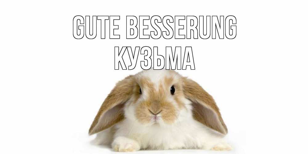 Открытка на каждый день с именем, Кузьма Gute Besserung вислоухий кролик белого и коричневого цвета Прикольная открытка с пожеланием онлайн скачать бесплатно 