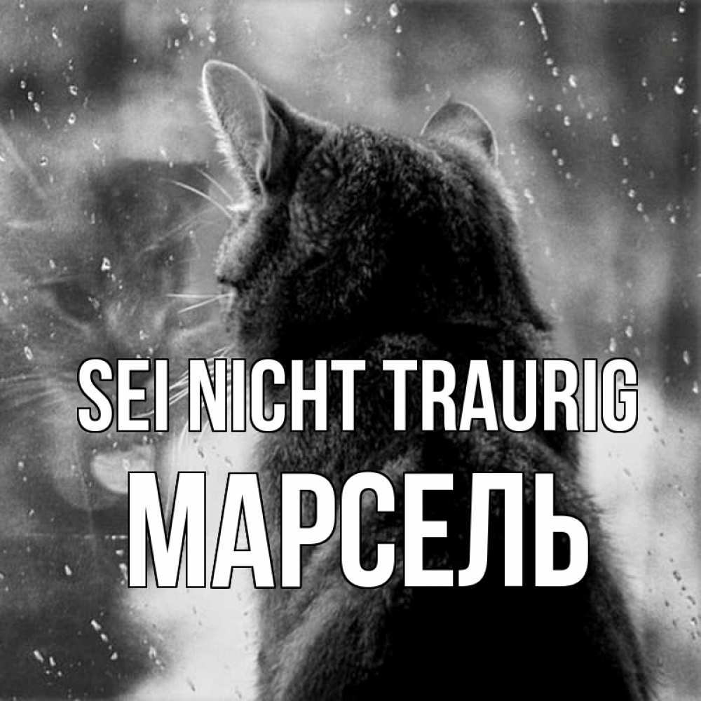 Открытка на каждый день с именем, Марсель Sei nicht traurig отражение кота 1 Прикольная открытка с пожеланием онлайн скачать бесплатно 