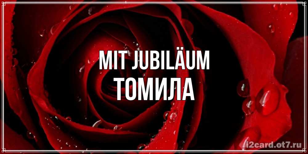 Открытка на каждый день с именем, Томила Mit Jubiläum крупная бордовая роза Прикольная открытка с пожеланием онлайн скачать бесплатно 