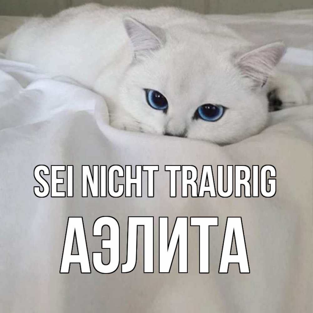 Открытка на каждый день с именем, Аэлита Sei nicht traurig белый кот с голубыми глазами на белоснежной кровати Прикольная открытка с пожеланием онлайн скачать бесплатно 