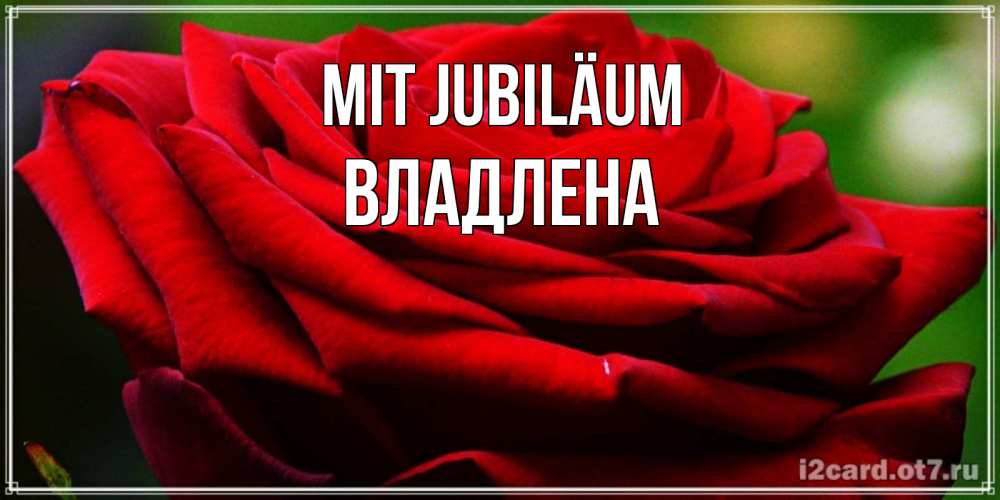 Открытка на каждый день с именем, Владлена Mit Jubiläum розочка очень красивая Прикольная открытка с пожеланием онлайн скачать бесплатно 