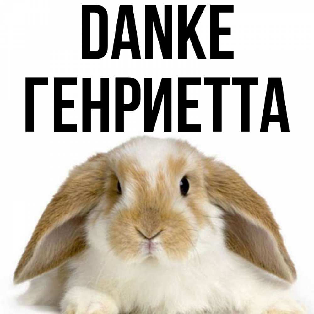 Открытка на каждый день с именем, Генриетта Danke коричнево белый заяц Прикольная открытка с пожеланием онлайн скачать бесплатно 