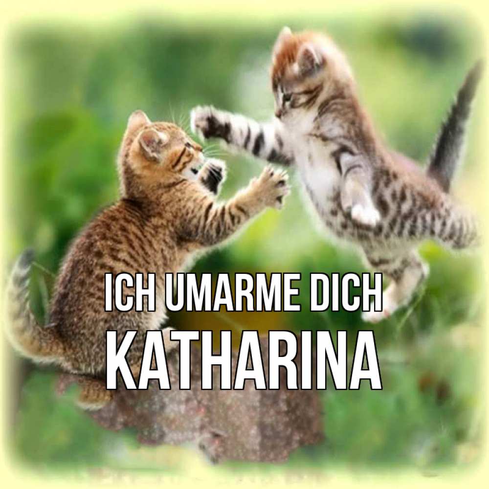Открытка на каждый день с именем, Katharina Ich umarme dich игры котят Прикольная открытка с пожеланием онлайн скачать бесплатно 