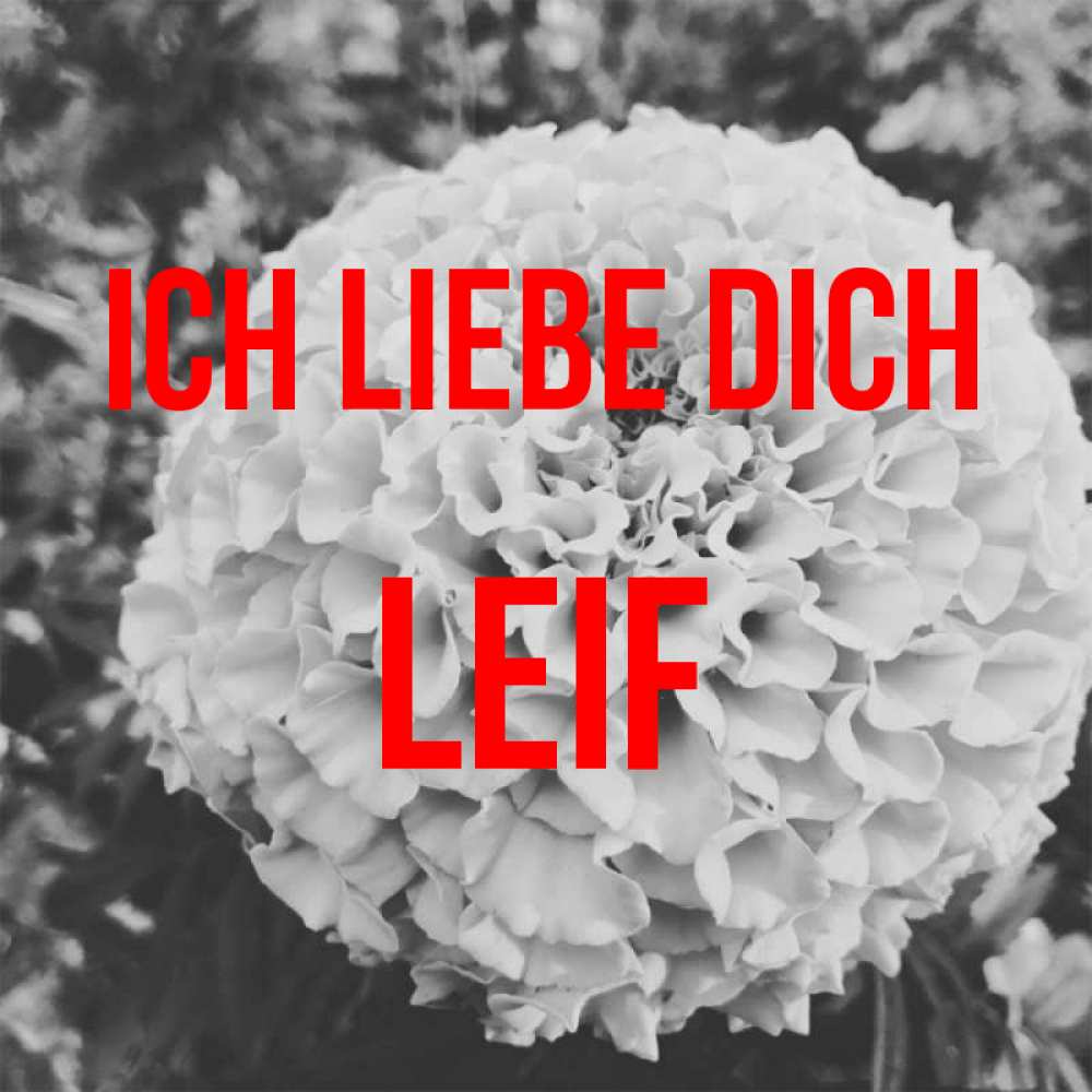 Открытка на каждый день с именем, Leif Ich liebe dich подпись Прикольная открытка с пожеланием онлайн скачать бесплатно 