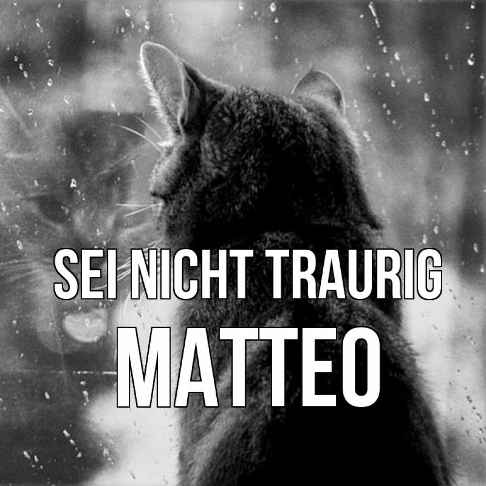 Открытка на каждый день с именем, Matteo Sei nicht traurig отражение кота 1 Прикольная открытка с пожеланием онлайн скачать бесплатно 