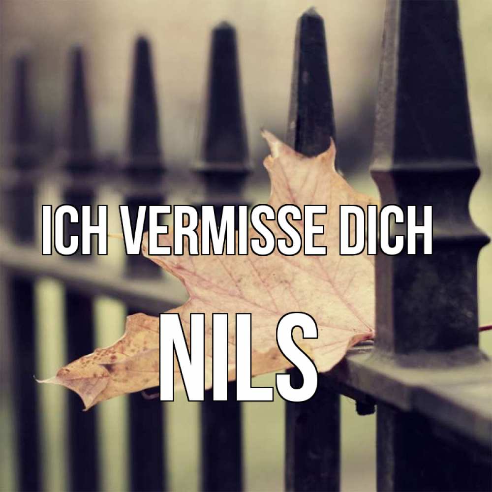 Открытка на каждый день с именем, Nils Ich vermisse dich очень скучно Прикольная открытка с пожеланием онлайн скачать бесплатно 