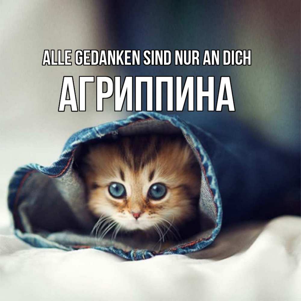 Открытка на каждый день с именем, Агриппина Alle Gedanken sind nur an dich мне без тебя плохо Прикольная открытка с пожеланием онлайн скачать бесплатно 