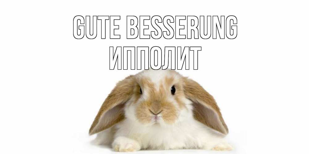 Открытка на каждый день с именем, Ипполит Gute Besserung вислоухий кролик белого и коричневого цвета Прикольная открытка с пожеланием онлайн скачать бесплатно 