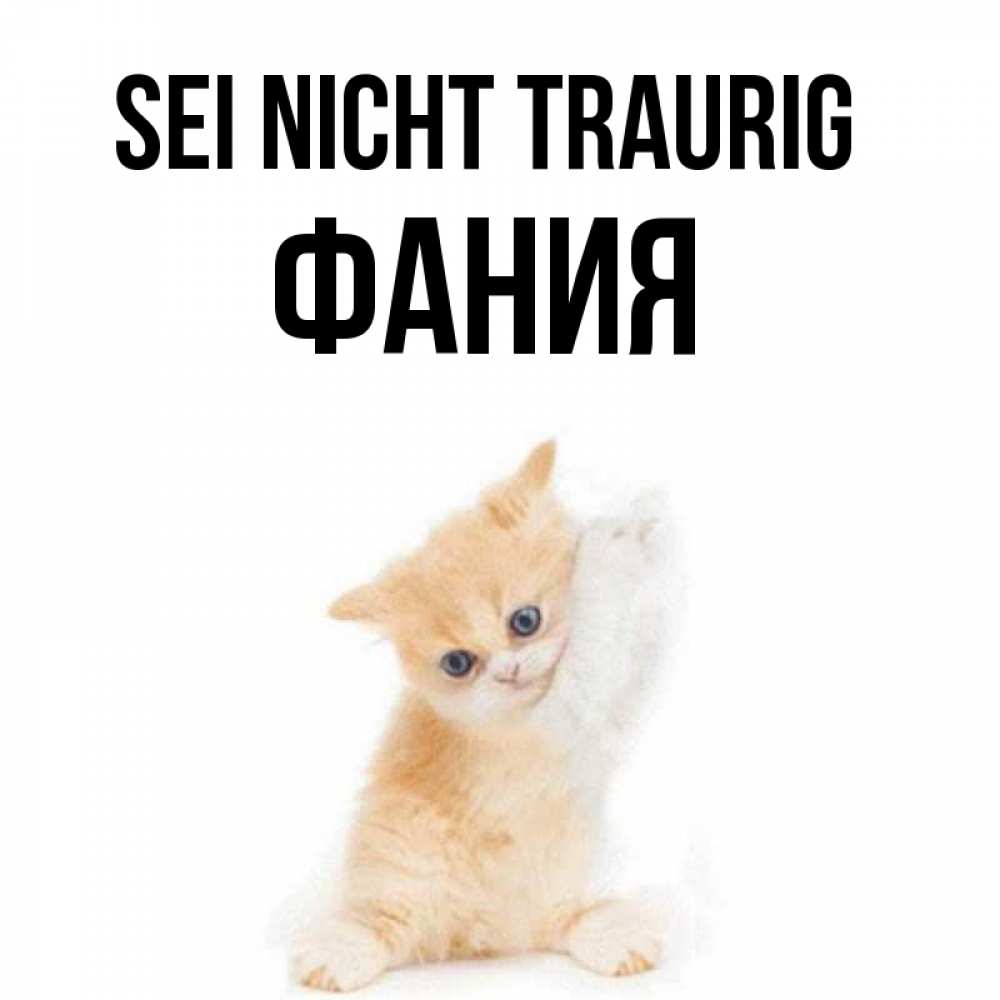 Открытка на каждый день с именем, Фания Sei nicht traurig просящий кот Прикольная открытка с пожеланием онлайн скачать бесплатно 