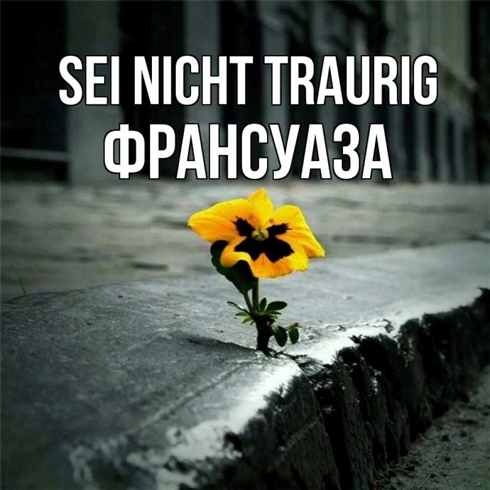 Открытка на каждый день с именем, Франсуаза Sei nicht traurig не сдавайся Прикольная открытка с пожеланием онлайн скачать бесплатно 