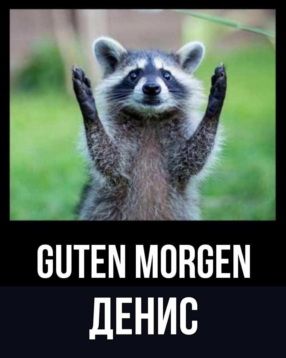 Открытка на каждый день с именем, Денис Guten Morgen хорошее настроение утречком Прикольная открытка с пожеланием онлайн скачать бесплатно 