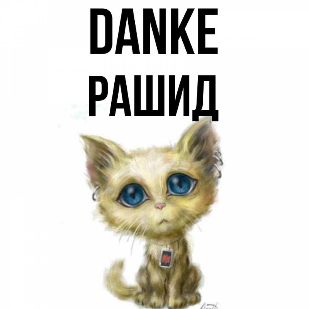 Открытка на каждый день с именем, Рашид Danke рисованный кот благодарит вас Прикольная открытка с пожеланием онлайн скачать бесплатно 