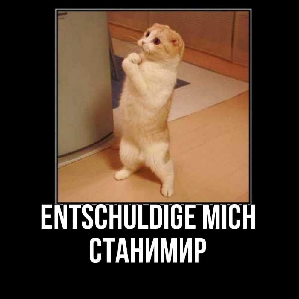 Открытка на каждый день с именем, Станимир Entschuldige mich открытка с милым несчастным котиком просящим прощения Прикольная открытка с пожеланием онлайн скачать бесплатно 