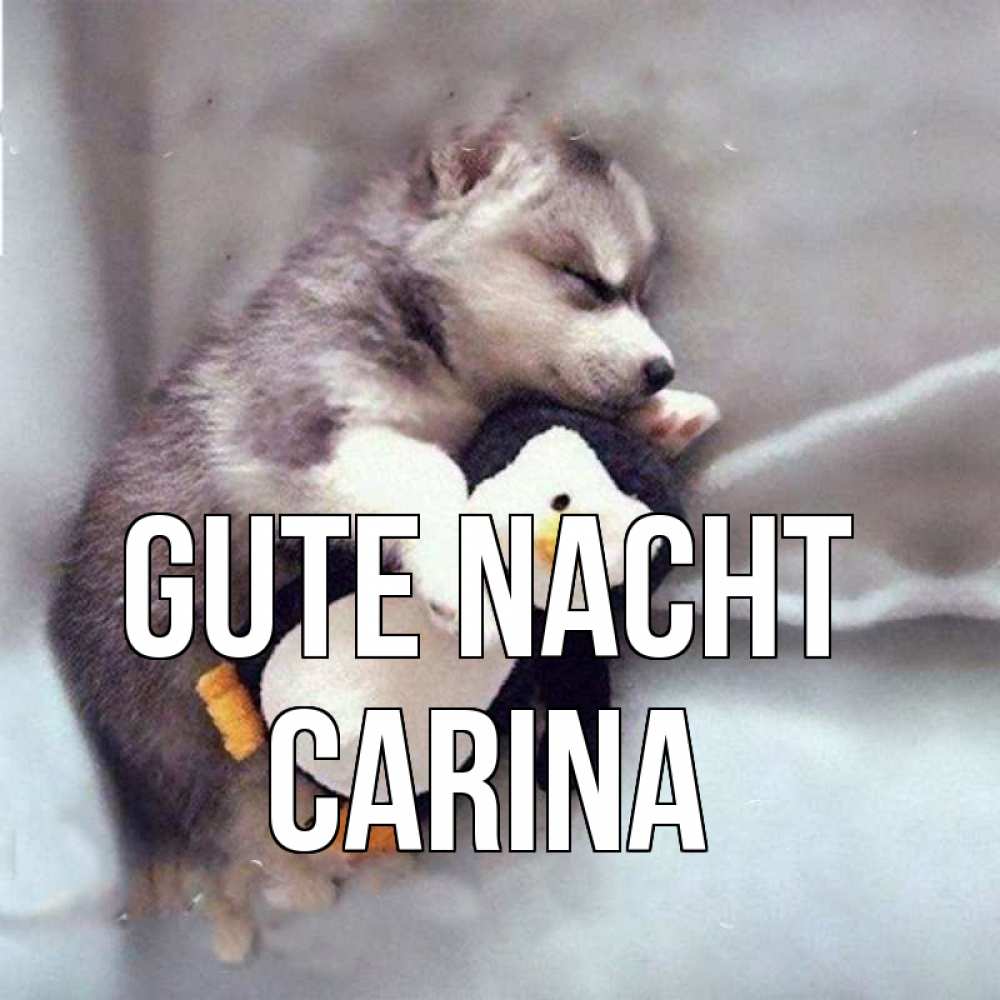 Открытка на каждый день с именем, Carina Gute Nacht обнимашки щенка и пингвина Прикольная открытка с пожеланием онлайн скачать бесплатно 