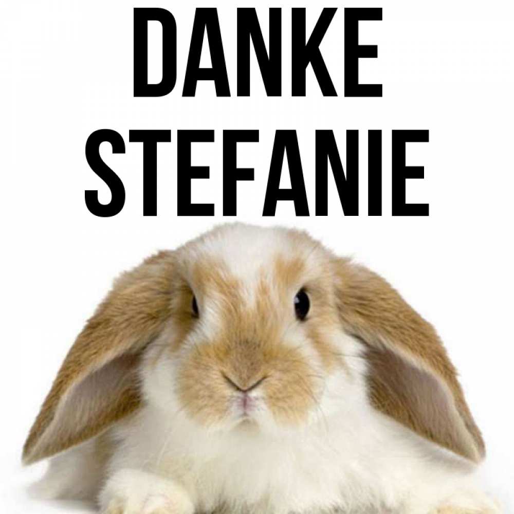 Открытка на каждый день с именем, Stefanie Danke коричнево белый заяц Прикольная открытка с пожеланием онлайн скачать бесплатно 