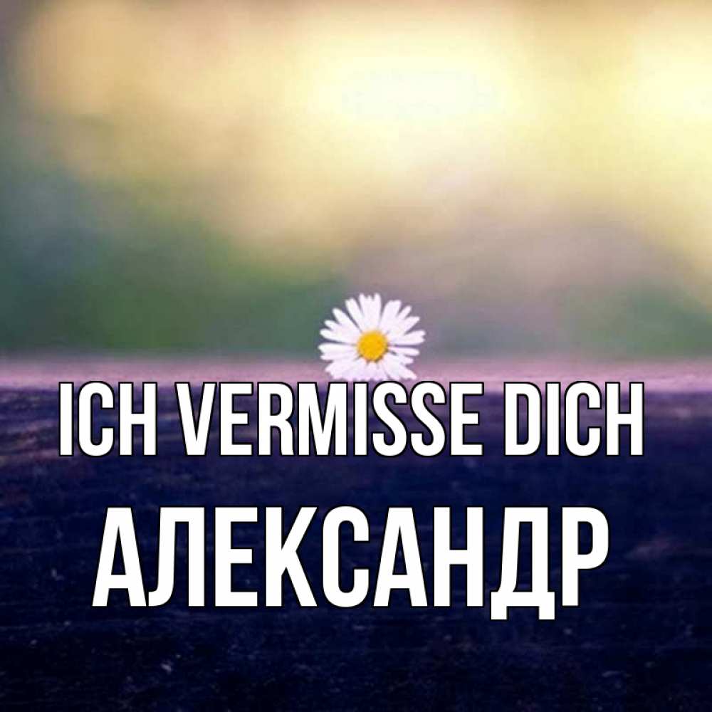 Открытка на каждый день с именем, Александр Ich vermisse dich приходи в гости Прикольная открытка с пожеланием онлайн скачать бесплатно 