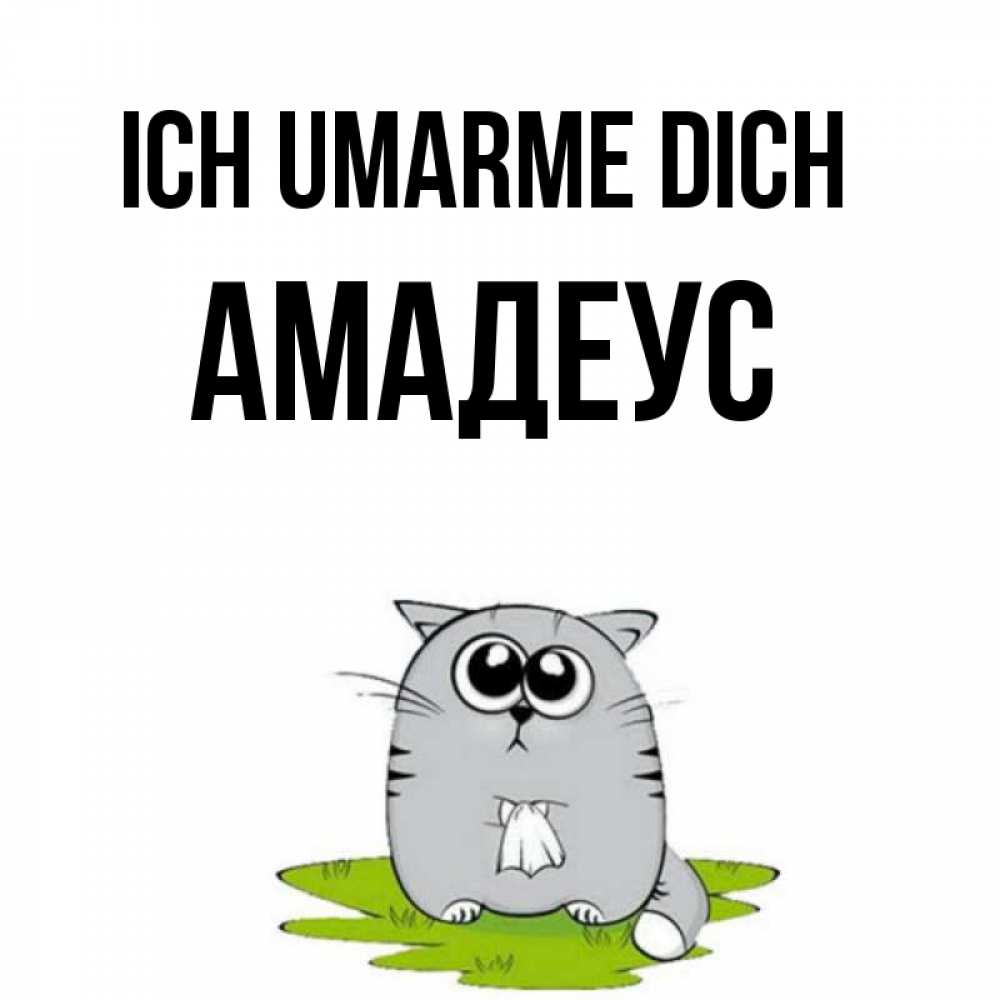 Открытка на каждый день с именем, Амадеус Ich umarme dich котик теребит платочек сидя на травке Прикольная открытка с пожеланием онлайн скачать бесплатно 