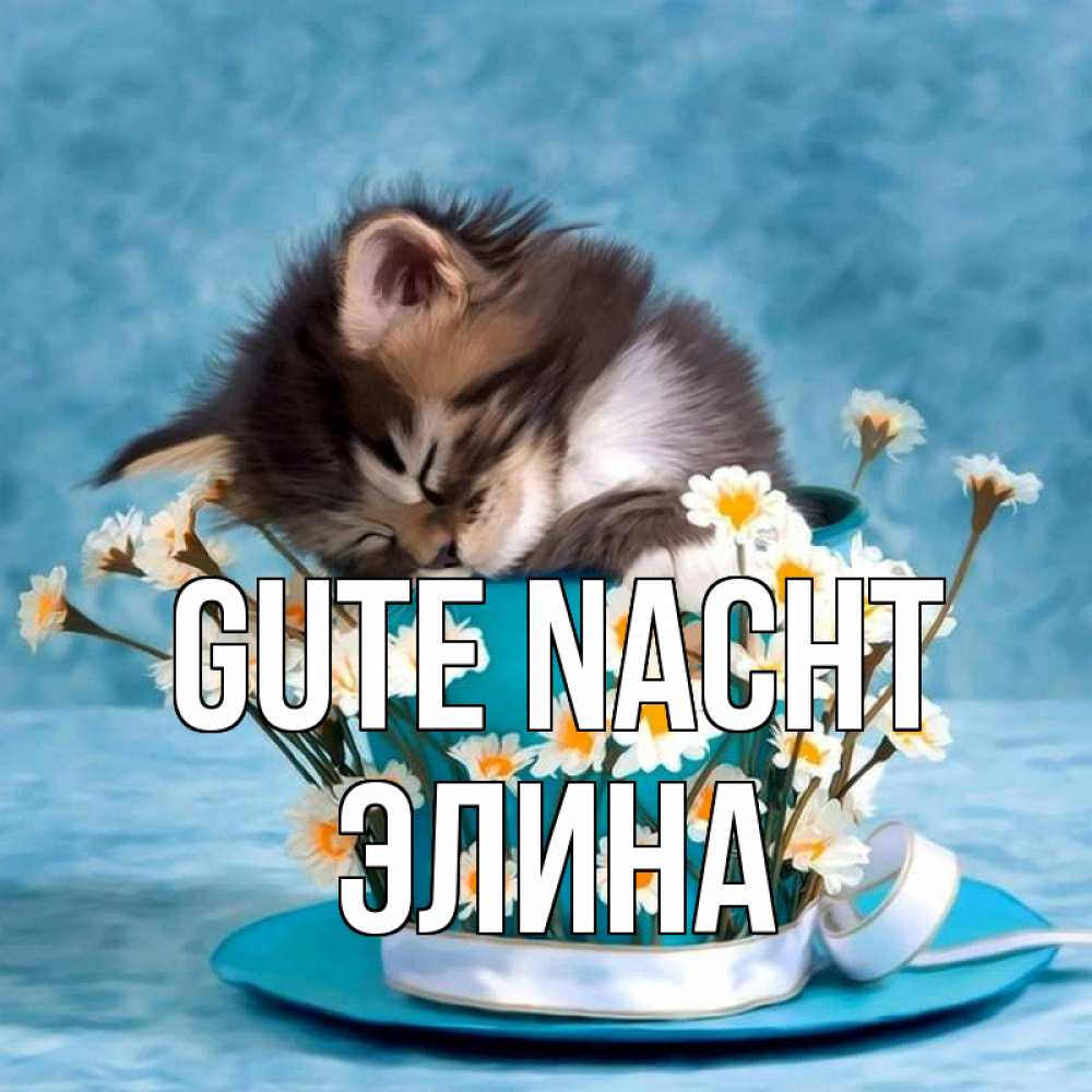 Открытка на каждый день с именем, Элина Gute Nacht котенок спит в кружке с блюдцем Прикольная открытка с пожеланием онлайн скачать бесплатно 