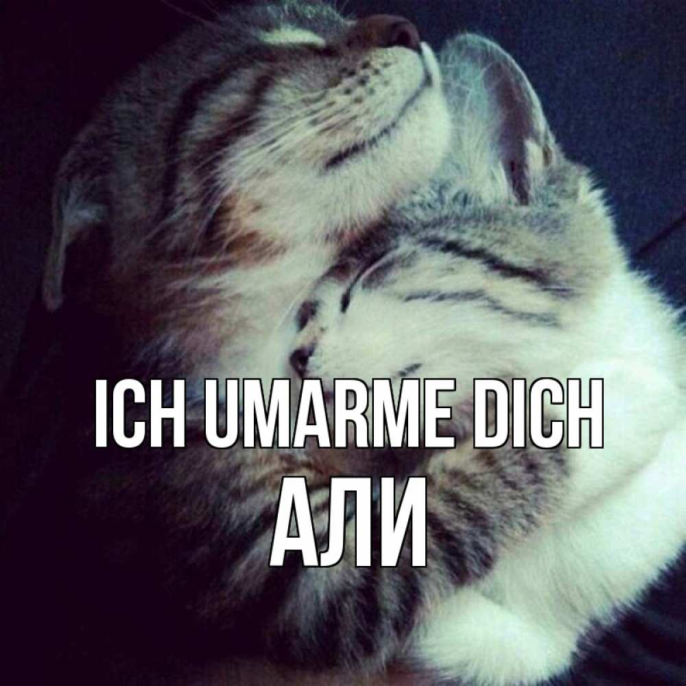 Открытка на каждый день с именем, Али Ich umarme dich полосатики Прикольная открытка с пожеланием онлайн скачать бесплатно 
