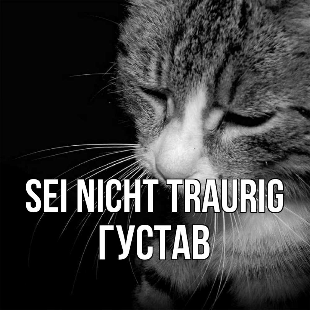 Открытка на каждый день с именем, Густав Sei nicht traurig грустный котик Прикольная открытка с пожеланием онлайн скачать бесплатно 