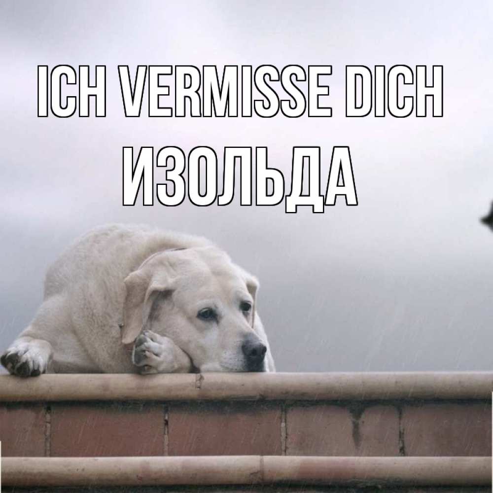 Открытка на каждый день с именем, Изольда Ich vermisse dich ждет Прикольная открытка с пожеланием онлайн скачать бесплатно 