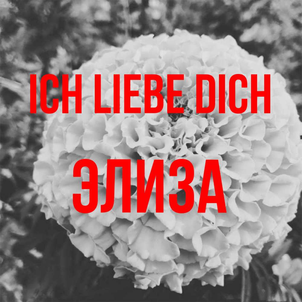 Открытка на каждый день с именем, Элиза Ich liebe dich подпись Прикольная открытка с пожеланием онлайн скачать бесплатно 