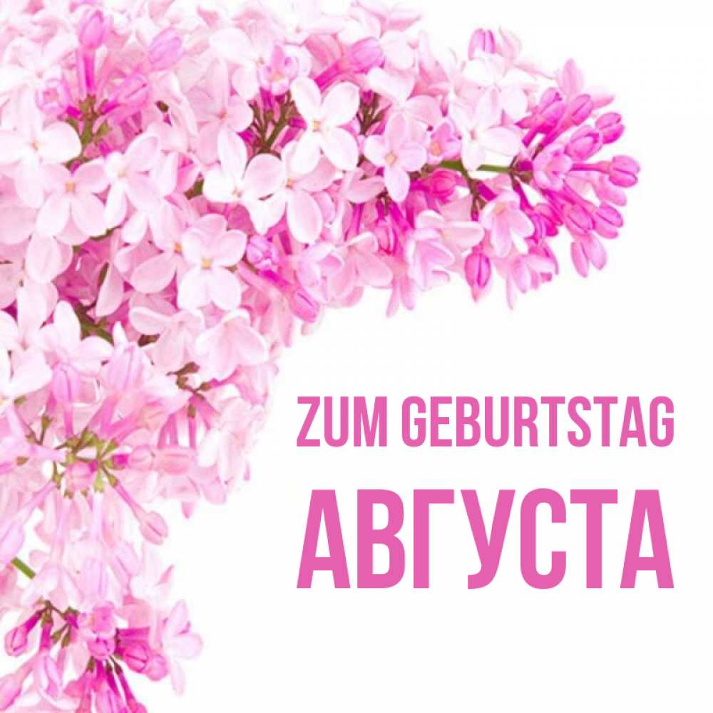 Открытка на каждый день с именем, Августа Zum Geburtstag Сирень на белом фоне Прикольная открытка с пожеланием онлайн скачать бесплатно 
