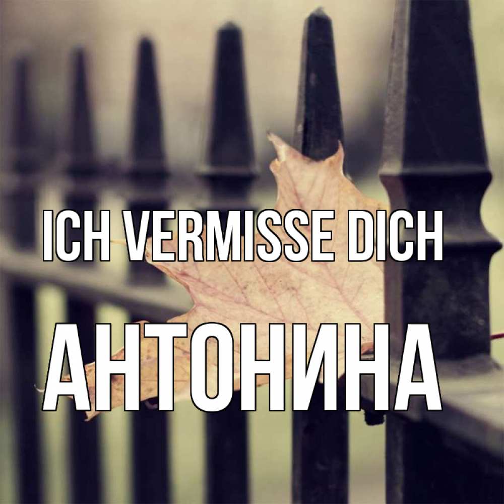 Открытка на каждый день с именем, Антонина Ich vermisse dich очень скучно Прикольная открытка с пожеланием онлайн скачать бесплатно 