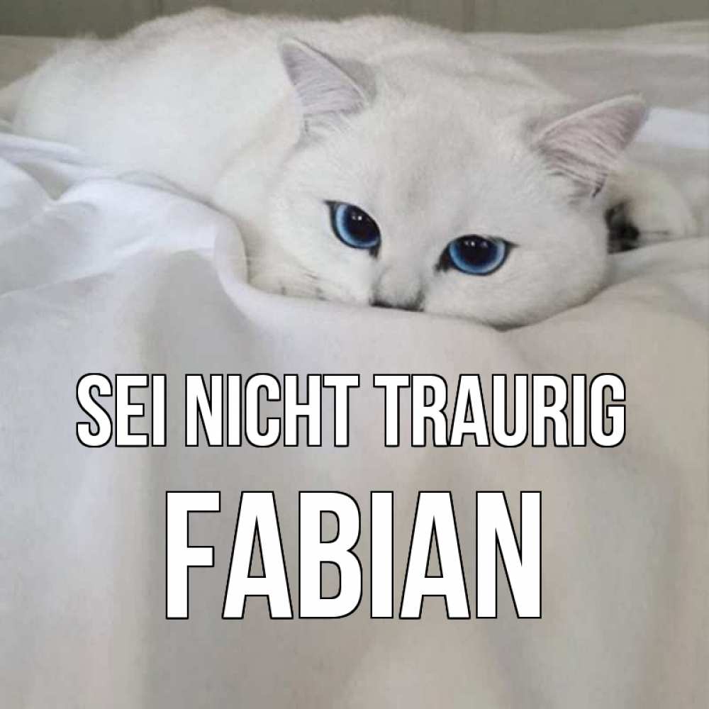 Открытка на каждый день с именем, Fabian Sei nicht traurig белый кот с голубыми глазами на белоснежной кровати Прикольная открытка с пожеланием онлайн скачать бесплатно 