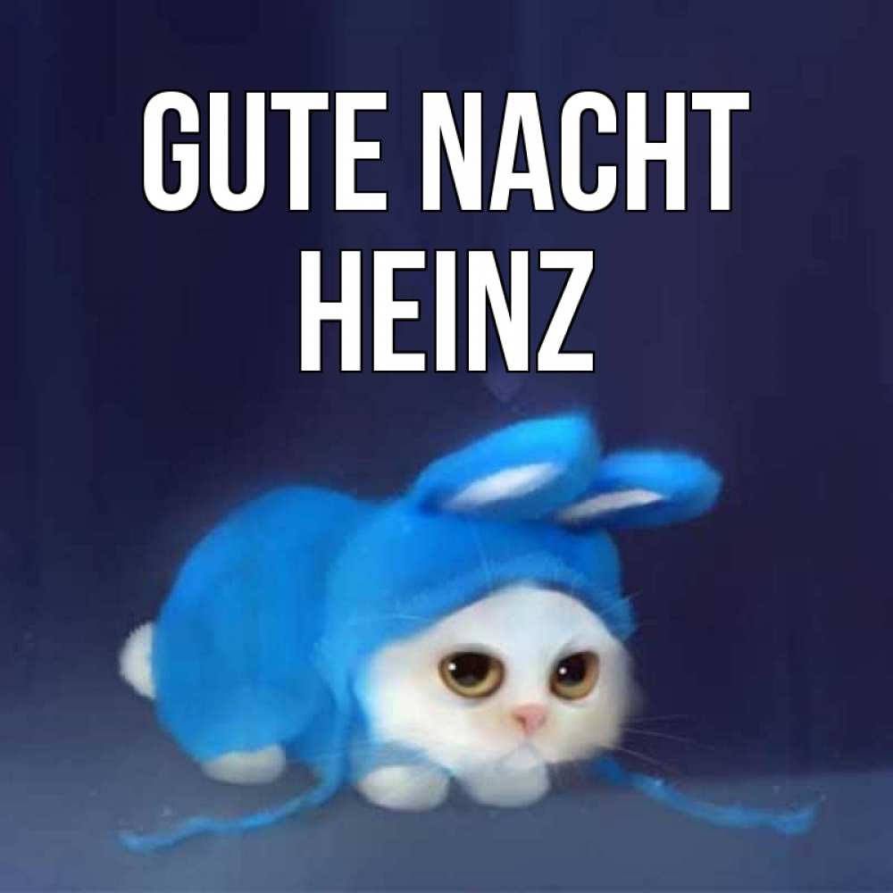 Открытка на каждый день с именем, Heinz Gute Nacht кот в голубом костюме кролика с ушками Прикольная открытка с пожеланием онлайн скачать бесплатно 