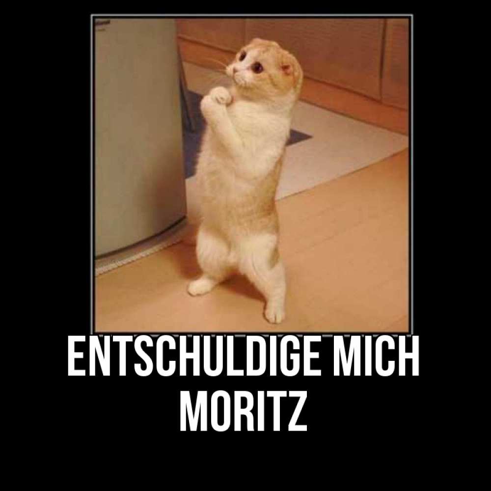 Открытка на каждый день с именем, Moritz Entschuldige mich открытка с милым несчастным котиком просящим прощения Прикольная открытка с пожеланием онлайн скачать бесплатно 