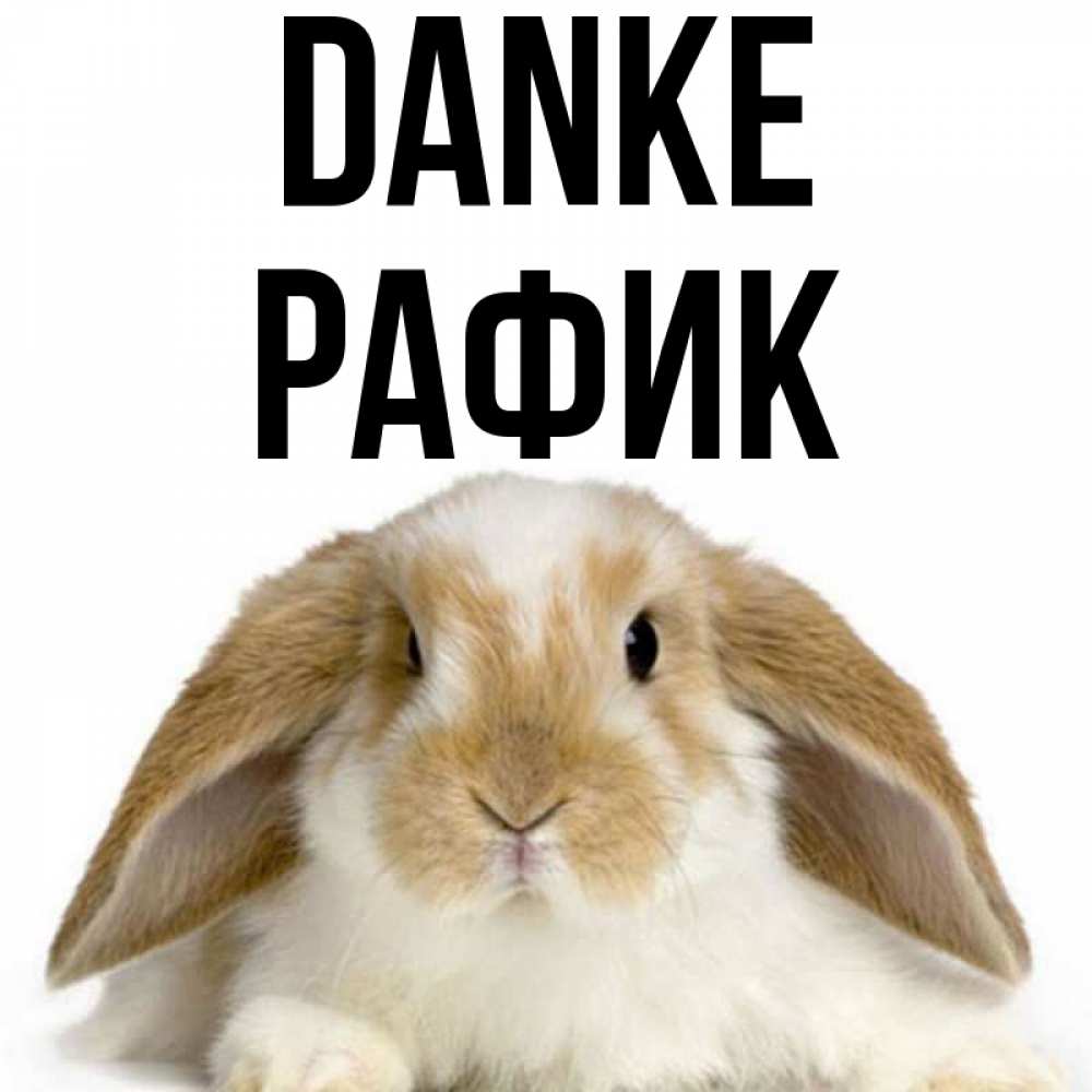 Открытка на каждый день с именем, Рафик Danke коричнево белый заяц Прикольная открытка с пожеланием онлайн скачать бесплатно 
