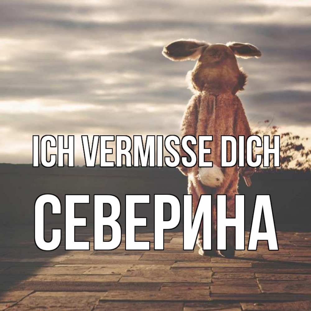 Открытка на каждый день с именем, Северина Ich vermisse dich даже в костюме зайца Прикольная открытка с пожеланием онлайн скачать бесплатно 