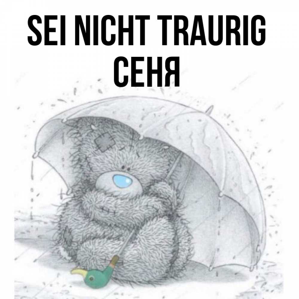 Открытка на каждый день с именем, Сеня Sei nicht traurig спасите мишку Тедди Прикольная открытка с пожеланием онлайн скачать бесплатно 