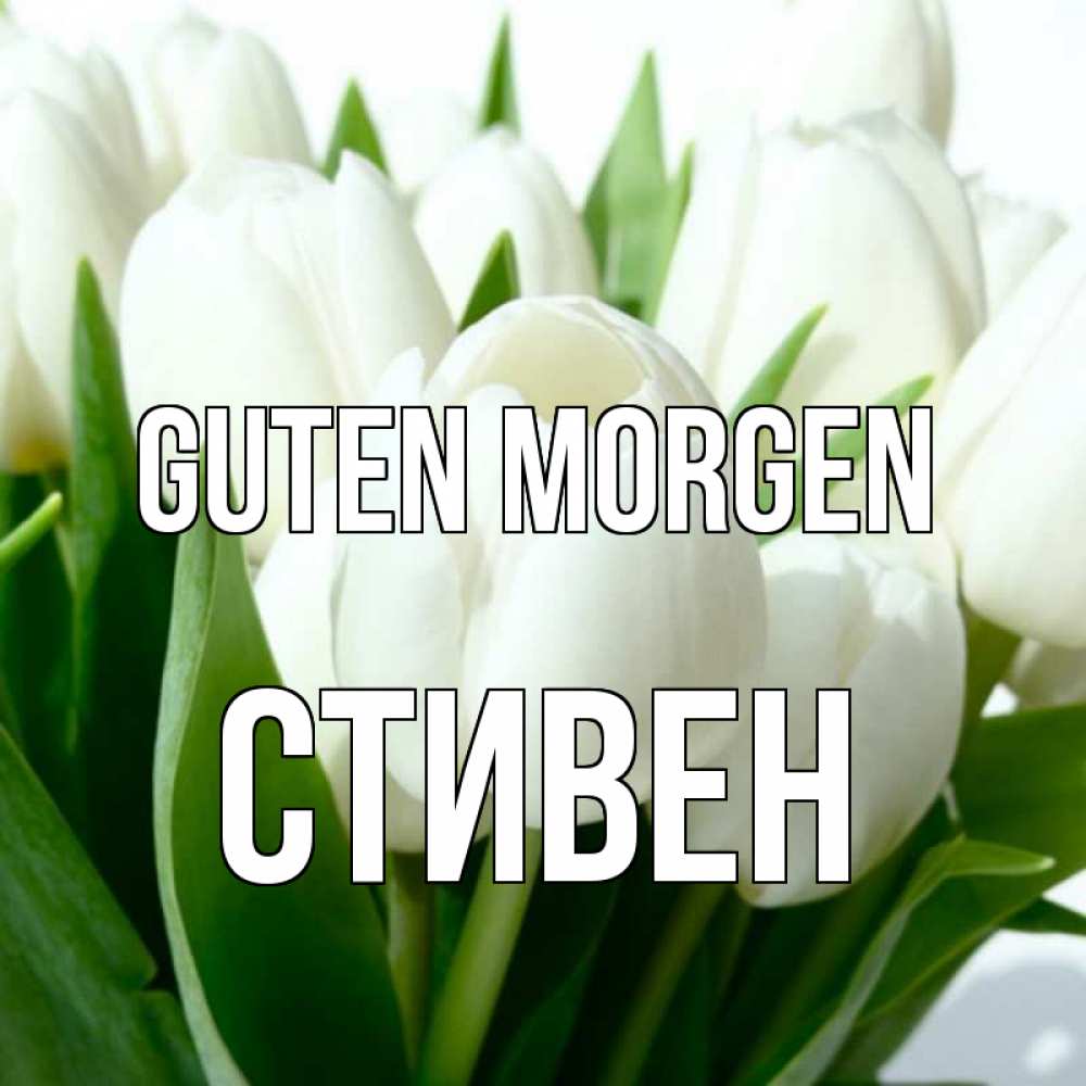 Открытка на каждый день с именем, Стивен Guten Morgen открытки на каждый день по именам Прикольная открытка с пожеланием онлайн скачать бесплатно 