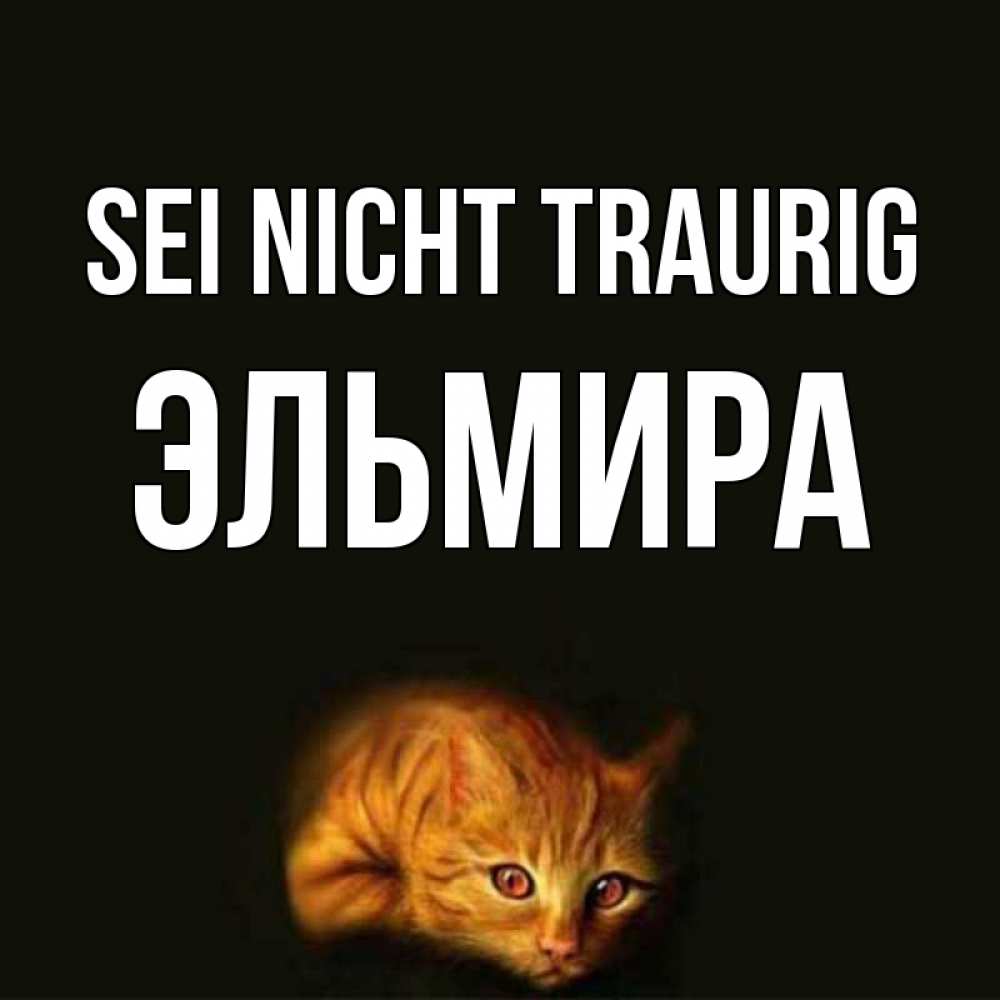 Открытка на каждый день с именем, Эльмира Sei nicht traurig лежащий кот в темноте Прикольная открытка с пожеланием онлайн скачать бесплатно 