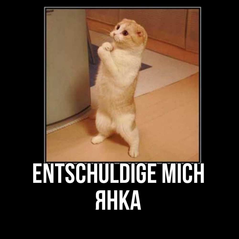Открытка на каждый день с именем, Янка Entschuldige mich открытка с милым несчастным котиком просящим прощения Прикольная открытка с пожеланием онлайн скачать бесплатно 