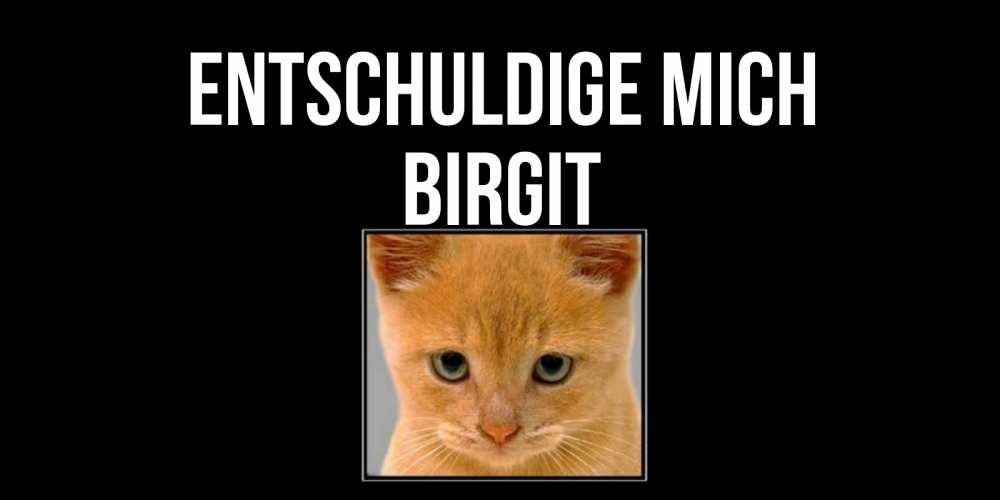 Открытка на каждый день с именем, Birgit Entschuldige mich рыжий грустный кот просит прощения Прикольная открытка с пожеланием онлайн скачать бесплатно 