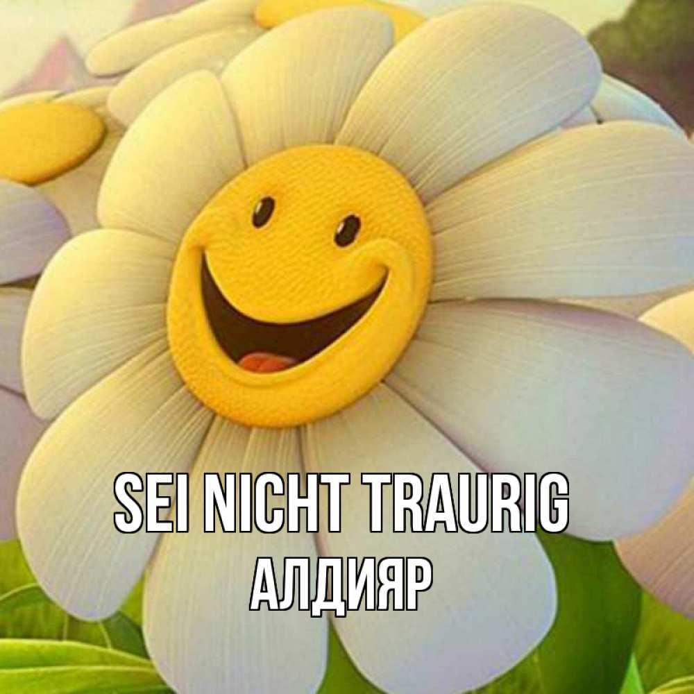 Открытка на каждый день с именем, Алдияр Sei nicht traurig огромная улыбающаяся ромашуща Прикольная открытка с пожеланием онлайн скачать бесплатно 